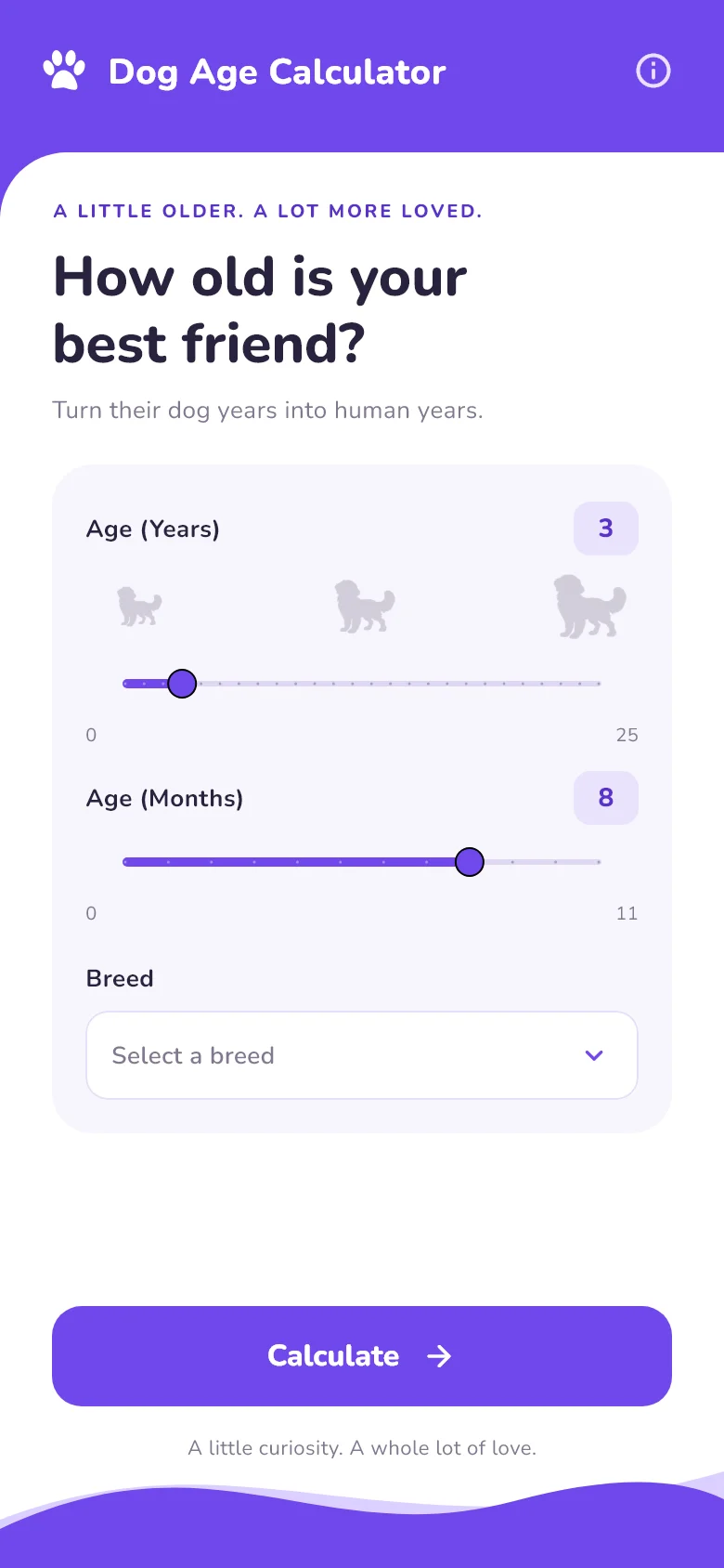 Dog Age Calculator: Start with your best friend